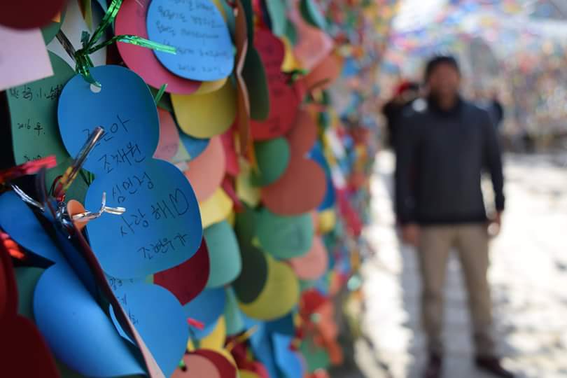 lkwtsrongtsnlas's tweet photo. the locked #scribbles and the #searchee #travelblogger at #namiisland #island #southkorea #seoul #travel #art https://t.co/QXwjAbIbua