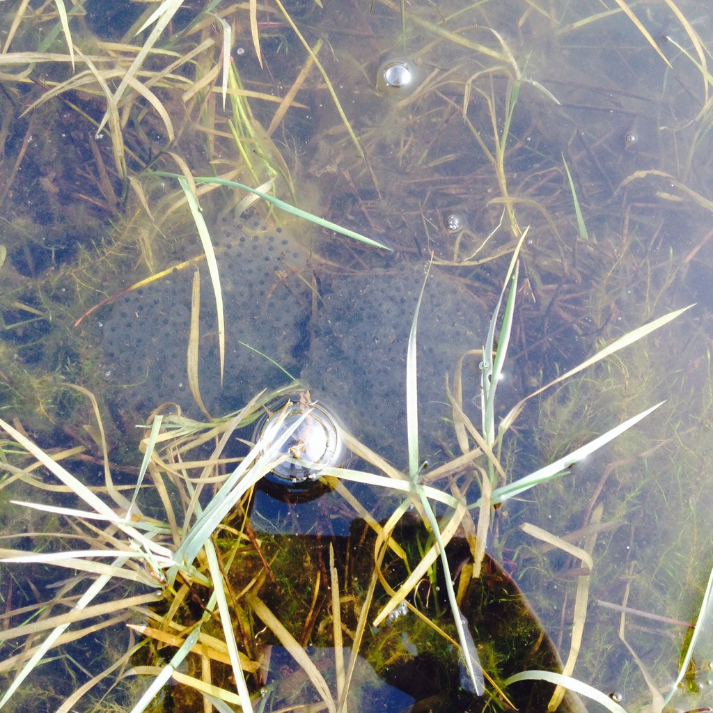 Anne Carter tweet media