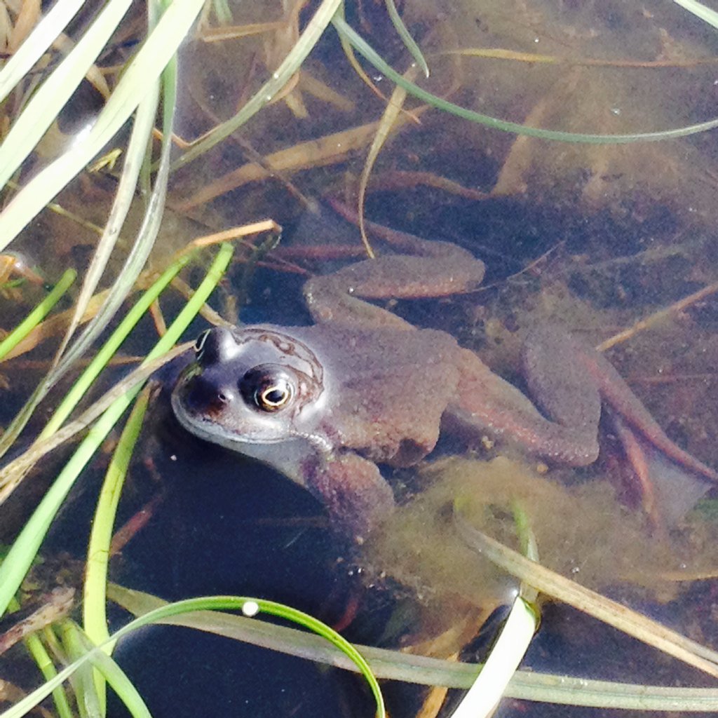 Anne Carter tweet media