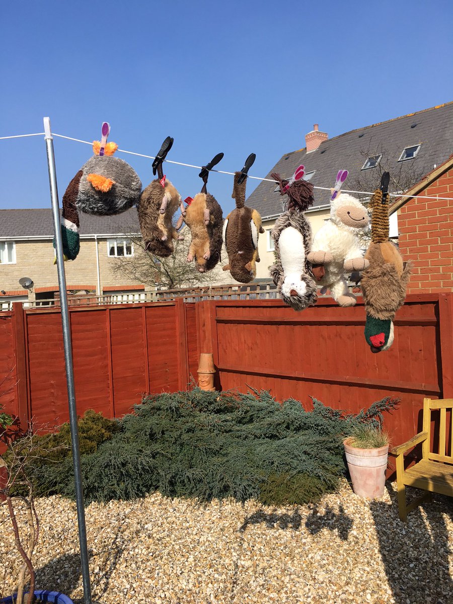 Spotthesprocker's tweet photo. According to @marianjayned this is round one of my toys being washed, glad it's not all of them #nothingtoplaywith https://t.co/uiRm0xx2Qj
