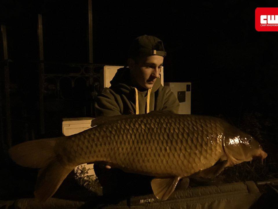 WCFRANCE's tweet photo. Voici notre membre Bony en compagnie d'une jolie commune tout en longueur.
Good job Bony !
#carpwhisperer #hooklink https://t.co/USX2W0DKoC
