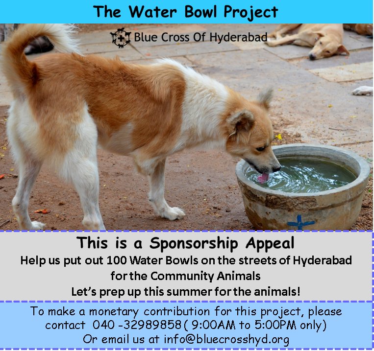 Blue Cross Hyderabad (bluecrosshyd) Twitter