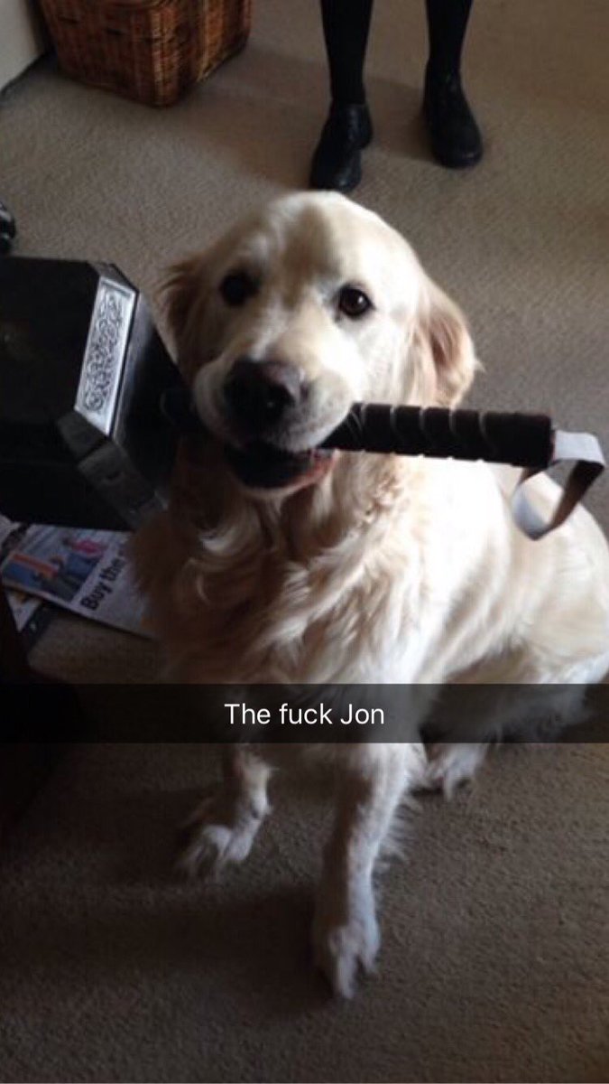 Marcus. (@conflictcruelty) on Twitter photo 