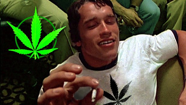 PotValet's tweet photo. Should You Be Using #Weed to Recover After a #Workout?  https://t.co/1N0X3D7c2F 

#pot #medicalmarijuana https://t.co/gzvBKZzhU0