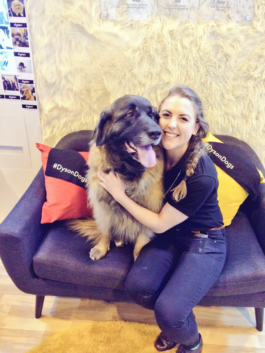 victoriaburt_'s tweet photo. #dysondogs https://t.co/WWTPx8YNL6