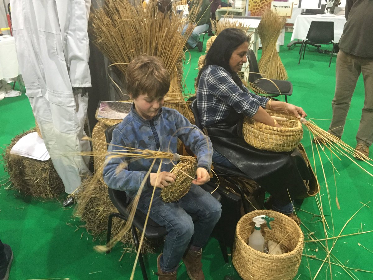 Lovely basket weaving going on at the Bee Experience #EdibleGardenShow <a href="/britishbee/">BBKA</a>