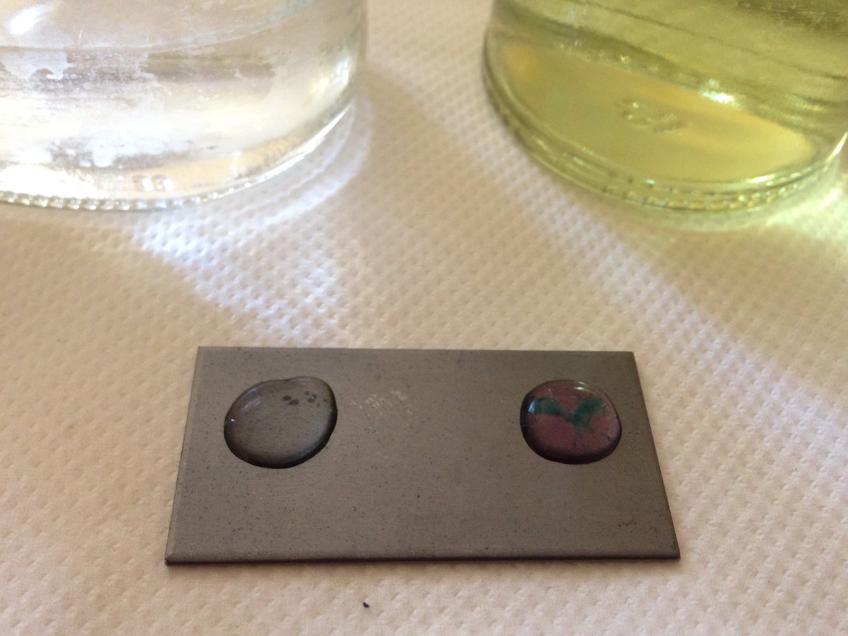 EmilyPrevCons's tweet image. Experiment Sunday #chemistryforconservators #Corrosion