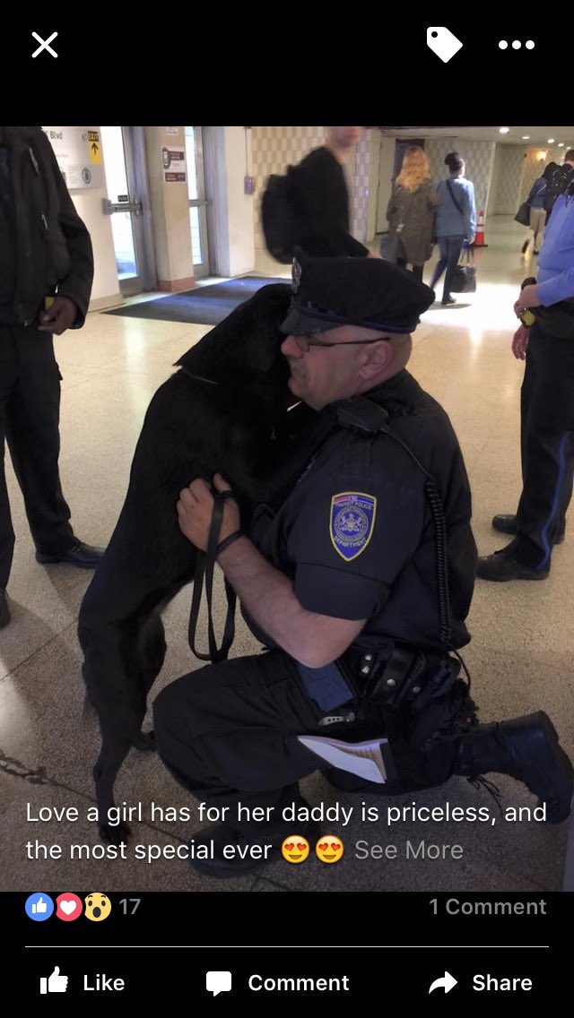 mpa167's tweet photo. #K9Live #SPDK13HHynes https://t.co/riQM9IcbFH