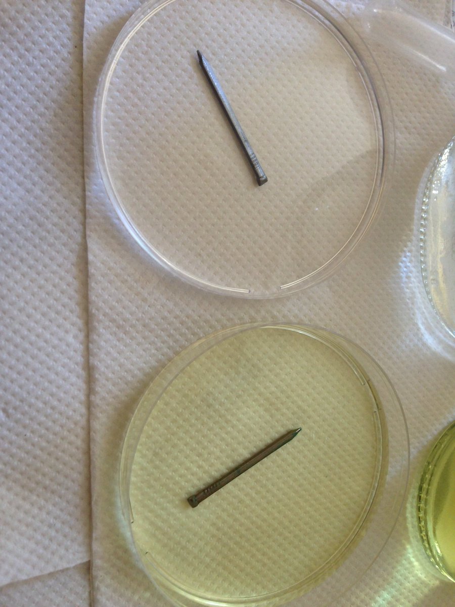 EmilyPrevCons's tweet image. Experiment Sunday #chemistryforconservators #Corrosion