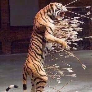 ennad3778's tweet photo. فريق الاتحاد الله يوفقكم وسيعد كم ونحن معكم في شر وفي قدروا جمهور الغالي معكم وجع ي الهلال https://t.co/kCCsx5JyYg