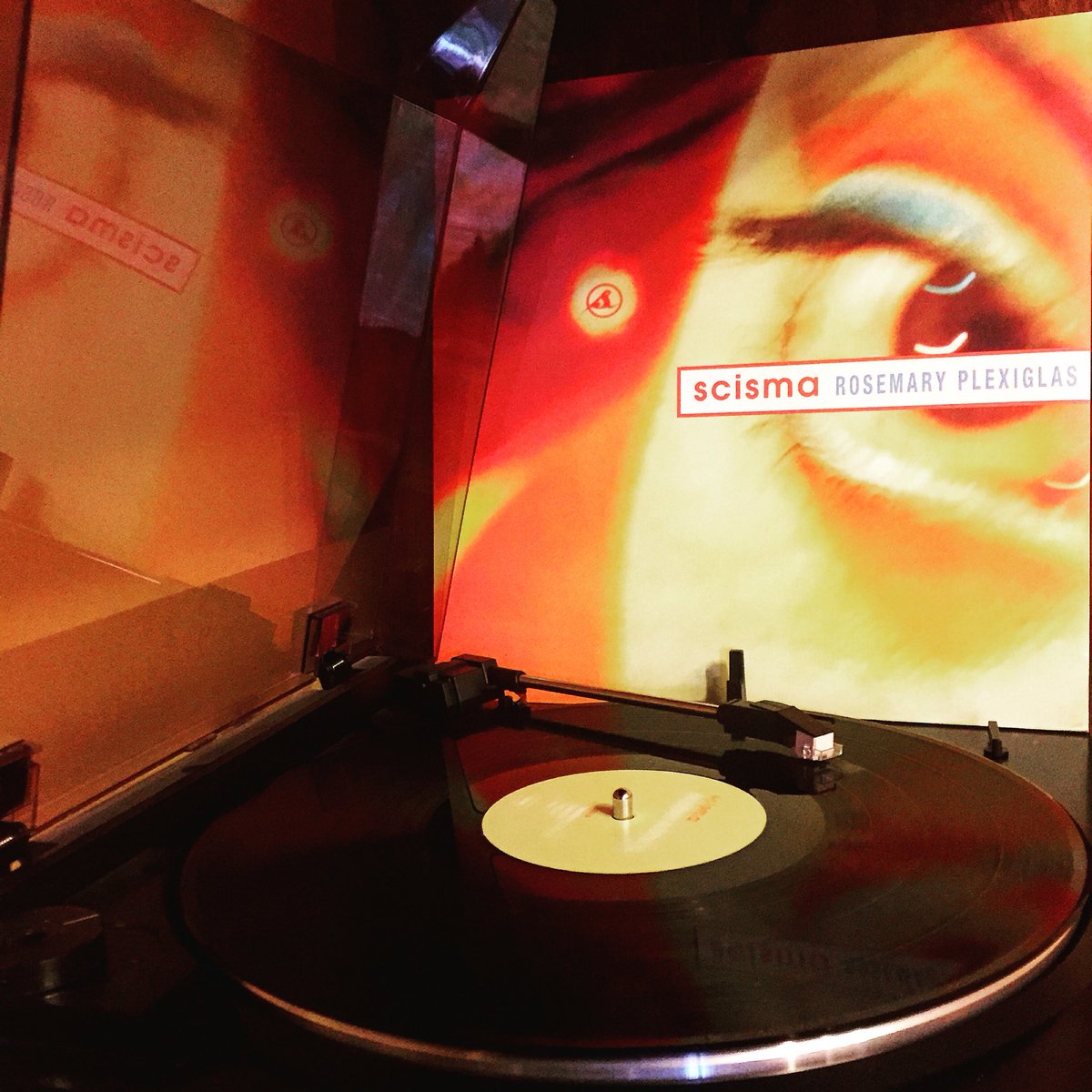 Riotcatss's tweet photo. ..voglio ubriacarmi con te, goderti fino al mattino..
#Scisma #RosemaryPlexiglas #Vinyl https://t.co/EoqfZ2eXdO