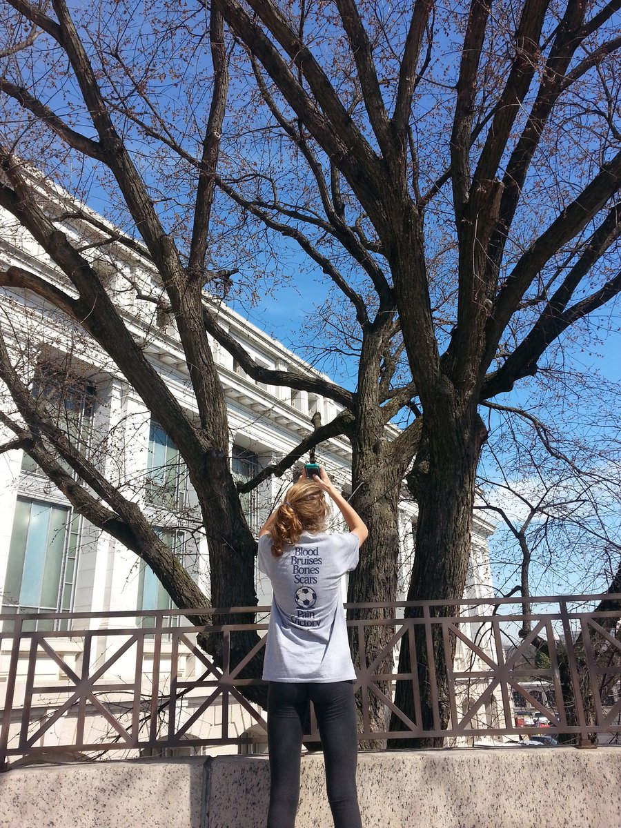 CFCI8thGrade's tweet photo. To express your creativity
#learnsharelive #8thgradedc
MMO https://t.co/ELSa39jIw7