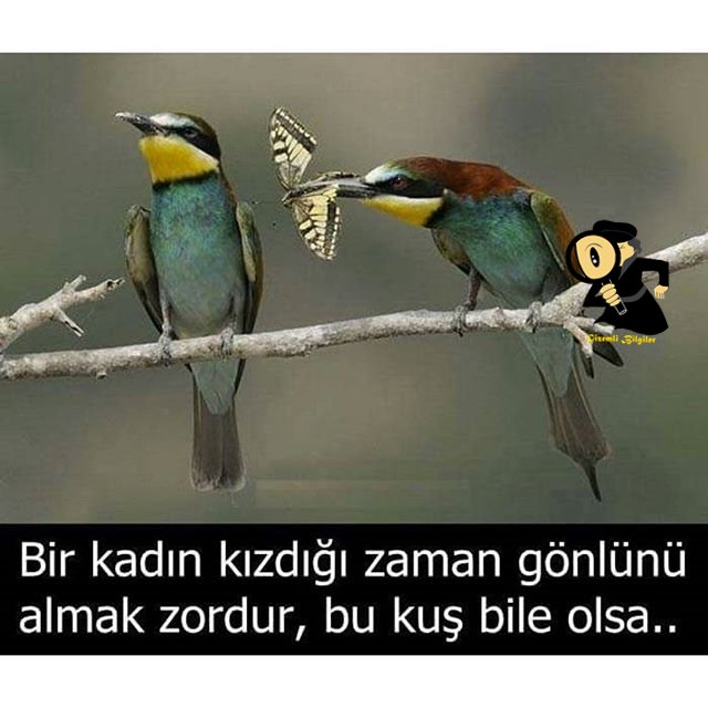 #Takip #takibetakip #bilgi #TakipedenlerTakipEdilir