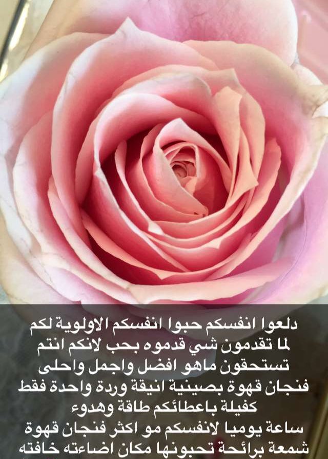 al_kh178's tweet photo. https://t.co/G0IvobWXxn