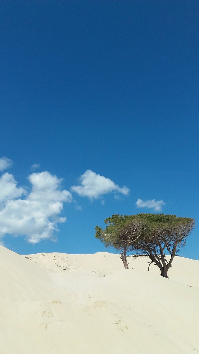 phaskyy's tweet photo. Naturaleza en estado puro.
#SinFliltro https://t.co/UwnFKmqMrC