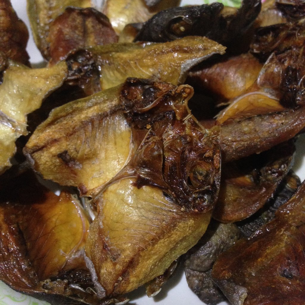 tuliponamethyst's tweet image. OUFT #Danggit 🐟