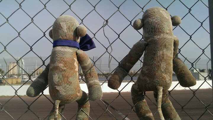 MonkeySM_02_006's tweet photo. We're on Turn 12 today. Looking at the sea https://t.co/JUNLydiQiK