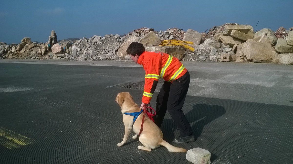 <a href="/manchesterfire/">Greater Manchester Fire and Rescue Service</a> GMFRS USAR dog ready to be deployed at training event today
