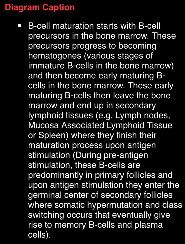 pembeoltulu's tweet photo. B Cell maturation diagram https://t.co/bffOQiPwUN #POpath #insitupathologists #USCAP2016 hemepath @Nathan_E_Lee https://t.co/8EFZHSkNnA