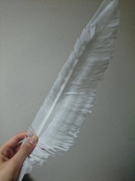 大発見 コスプレにぴったりな天使の翼が100円ショップの商品で作れちゃう Togetter