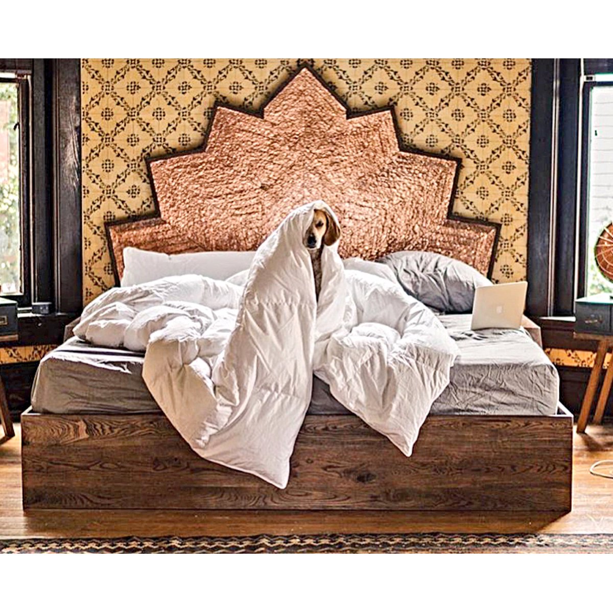 Urban Cowboy (@urbancowboybnb) on Twitter photo Custom copper headboard and a cloud like bed. Good morning from #Nashville 🌵
📷: <a href="/thiswildidea/">Theron Humphrey</a>
#travel #wanderlust Custom copper headboard and a cloud like bed. Good morning from #Nashville 🌵
📷: <a href="/thiswildidea/">Theron Humphrey</a>
#travel #wanderlust