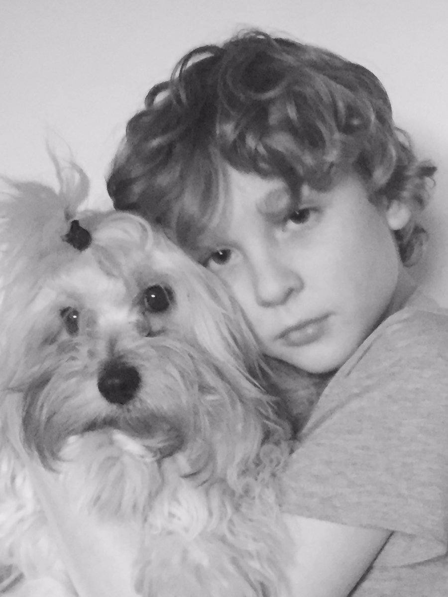 #c4crufts #crufts2016 my son with Dyffrynsand Charlie Bear #havanese