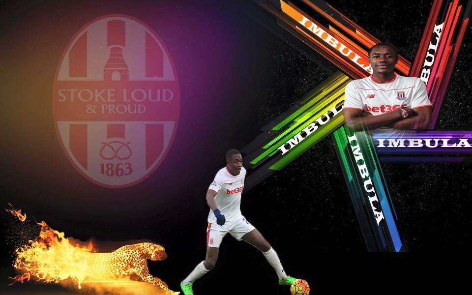 Giannelli Imbula tweet media