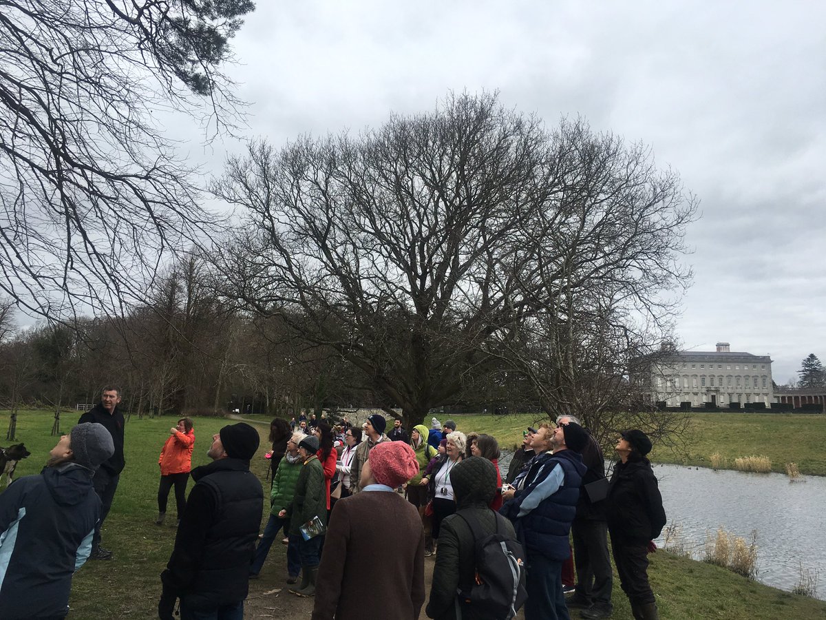 castletownOPW's tweet photo. Many thanks to DrJohn McCullen and everyone who joined us today to celebrate #ESBTreeWeek @ESBNetworks @coilltenews https://t.co/rizumxNxfs