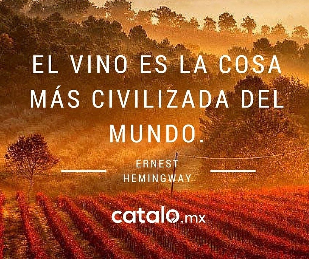 CataloMx's tweet photo. Y como somos muy civilizados, nos vamos a tomar una copita 🍷 #vino #vinoadomicilio #polanc… https://t.co/s44IMdsVHQ https://t.co/CQ1VWTctU0