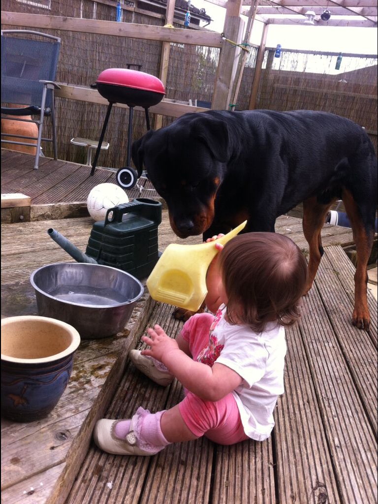 suggs_andicfc's tweet photo. #c4crufts Suggs and Emmy https://t.co/y0lRnF0lE8