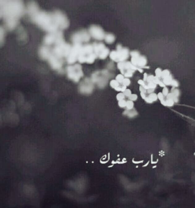 CandlesWait's tweet photo. يارب عفوك 🌺 https://t.co/SxTr185fcc