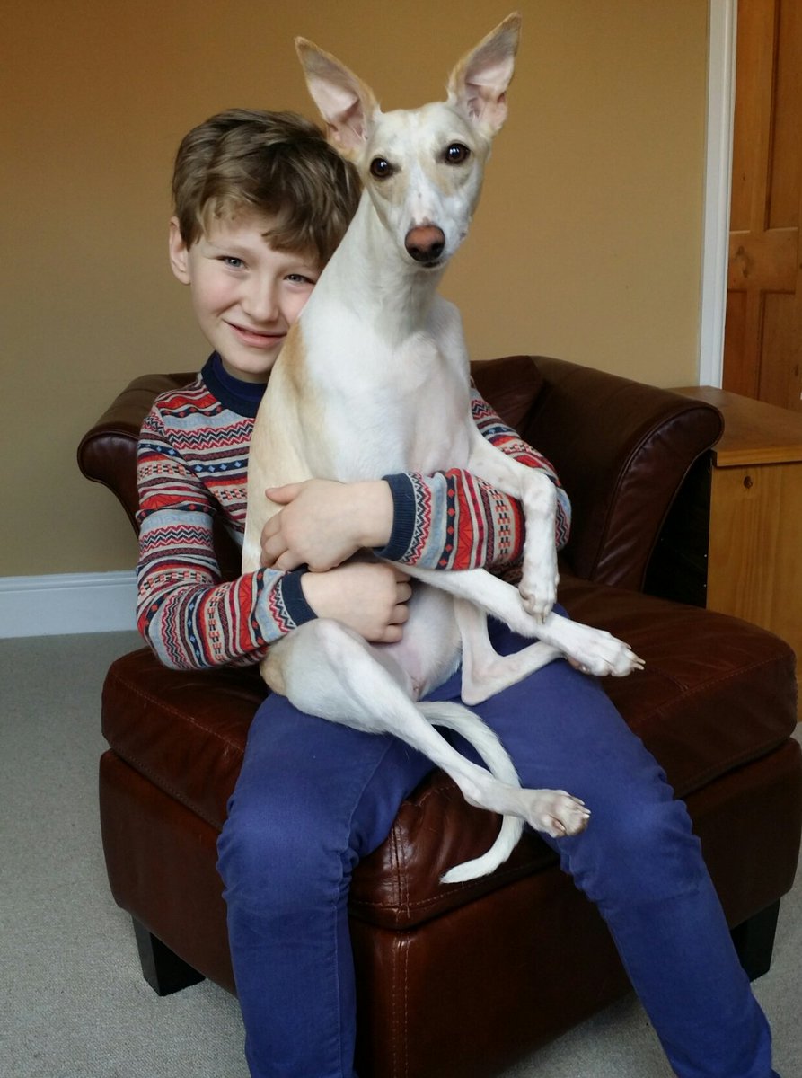 kasia lis-slimak tweet media