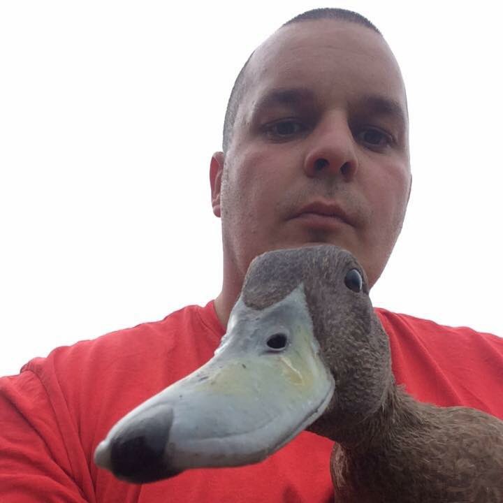 paulwyattuk's tweet photo. @BBCCountryfile https://t.co/q6aaiaMXPU