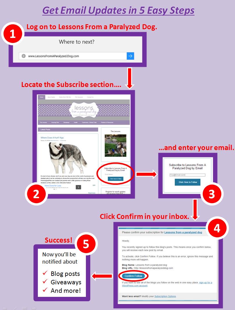 Want to sign up for email updates from the blog? Just follow these 5 easy steps! #Pets #EmailUpdates