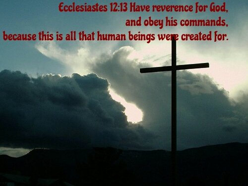 Daily_BibleQuot's tweet photo. https://t.co/1WrdpjbhSh
