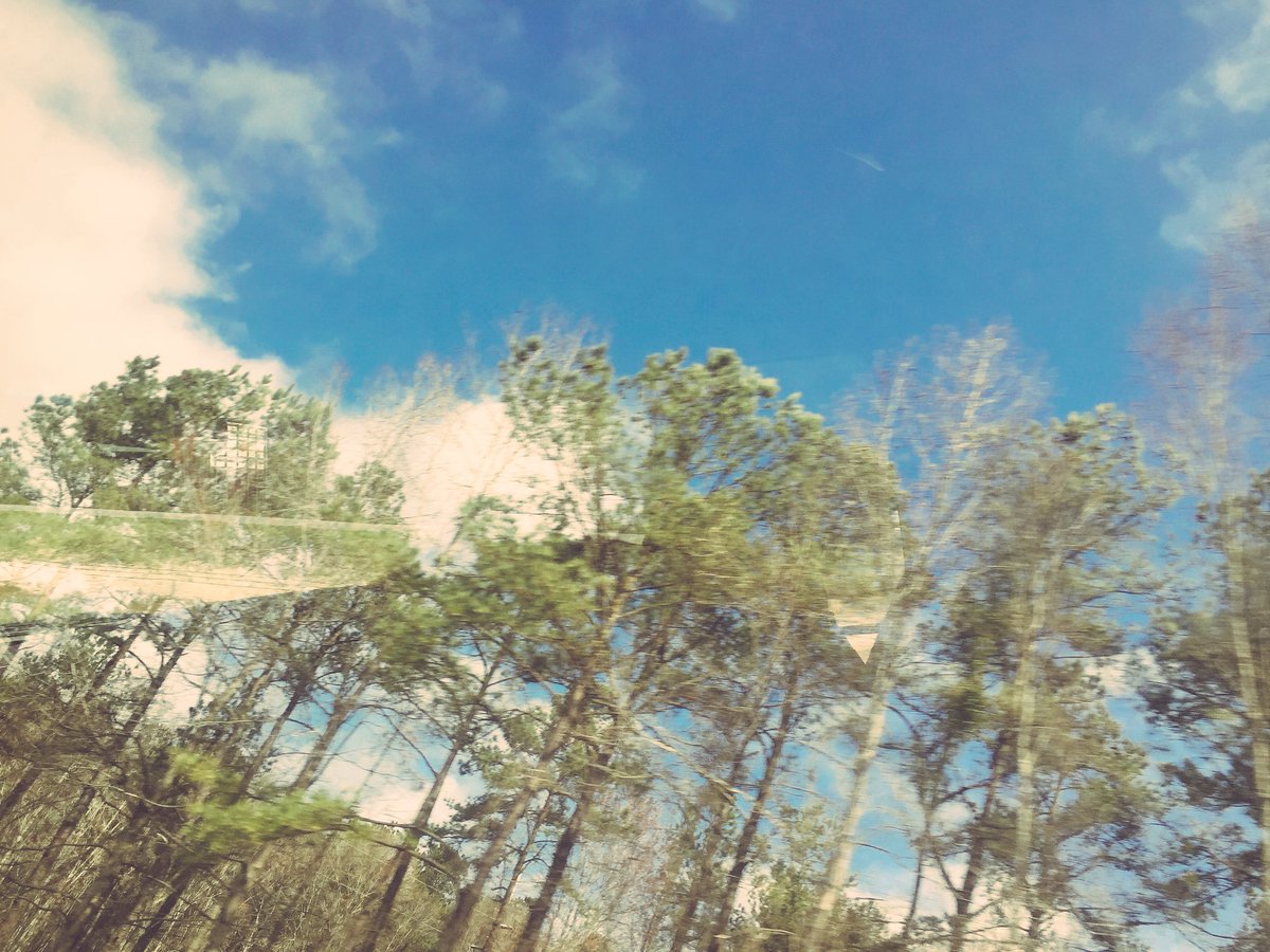 dbutch13's tweet photo. Going to miss the warm weather down in South Carolina https://t.co/FT8l3MGdAH