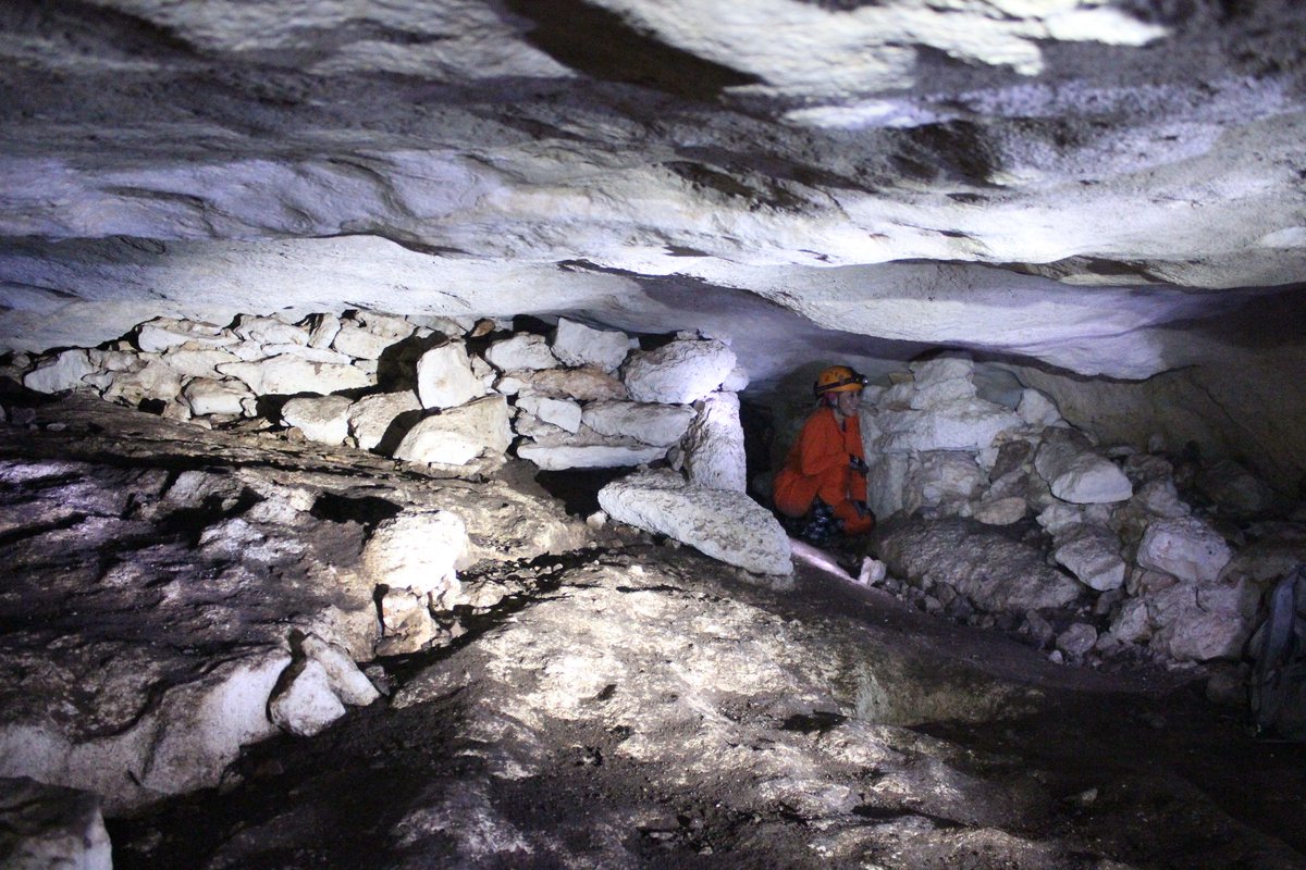 aktunmeyaj's tweet photo. Primera limpieza del #Cueva Gotas Doradas en la cuidad de Mérida coordinado por el Ayuntamiento de Mérida
#Speleo https://t.co/P4kLfQse4W