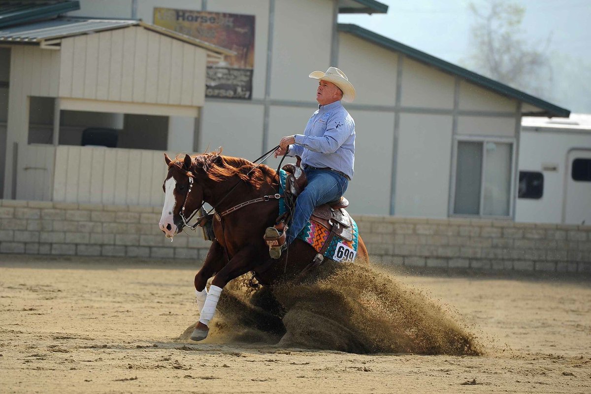 foranperform's tweet image. Tom schooling Select Code- Copus' 4 yr old stud by #electriccode last weekend. #reining #NRHA #aqha #ariat