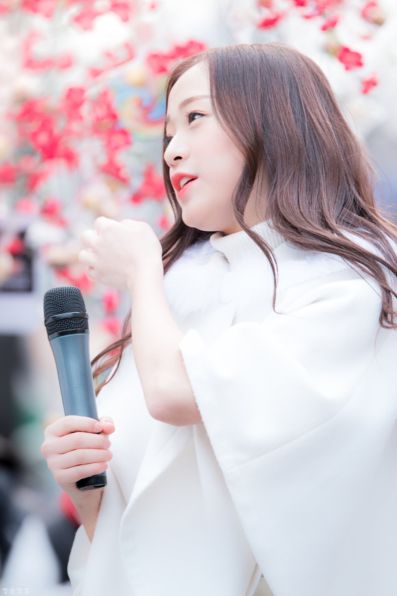 CdcNtJsVIAIqZ87.jpg:orig