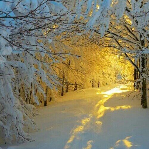 kentkristensen1's tweet photo. GOOD NIGHT 

FRIENDS 

HATE THE SIN 

LOVE THE SINNERS 

FORGIVE QUICKLY 

LOVE LIKE IT'S THE

 END OF TIME 

💋👀💕... https://t.co/gCVUbQvVMQ