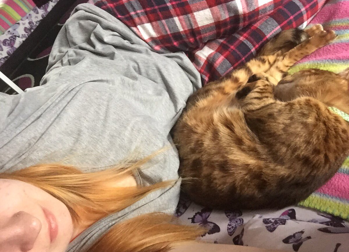 #Spooning with my #cat