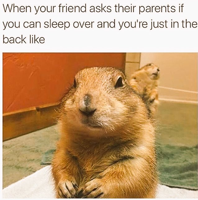 vozouk's tweet photo. Childhood be like... https://t.co/sChlHique4