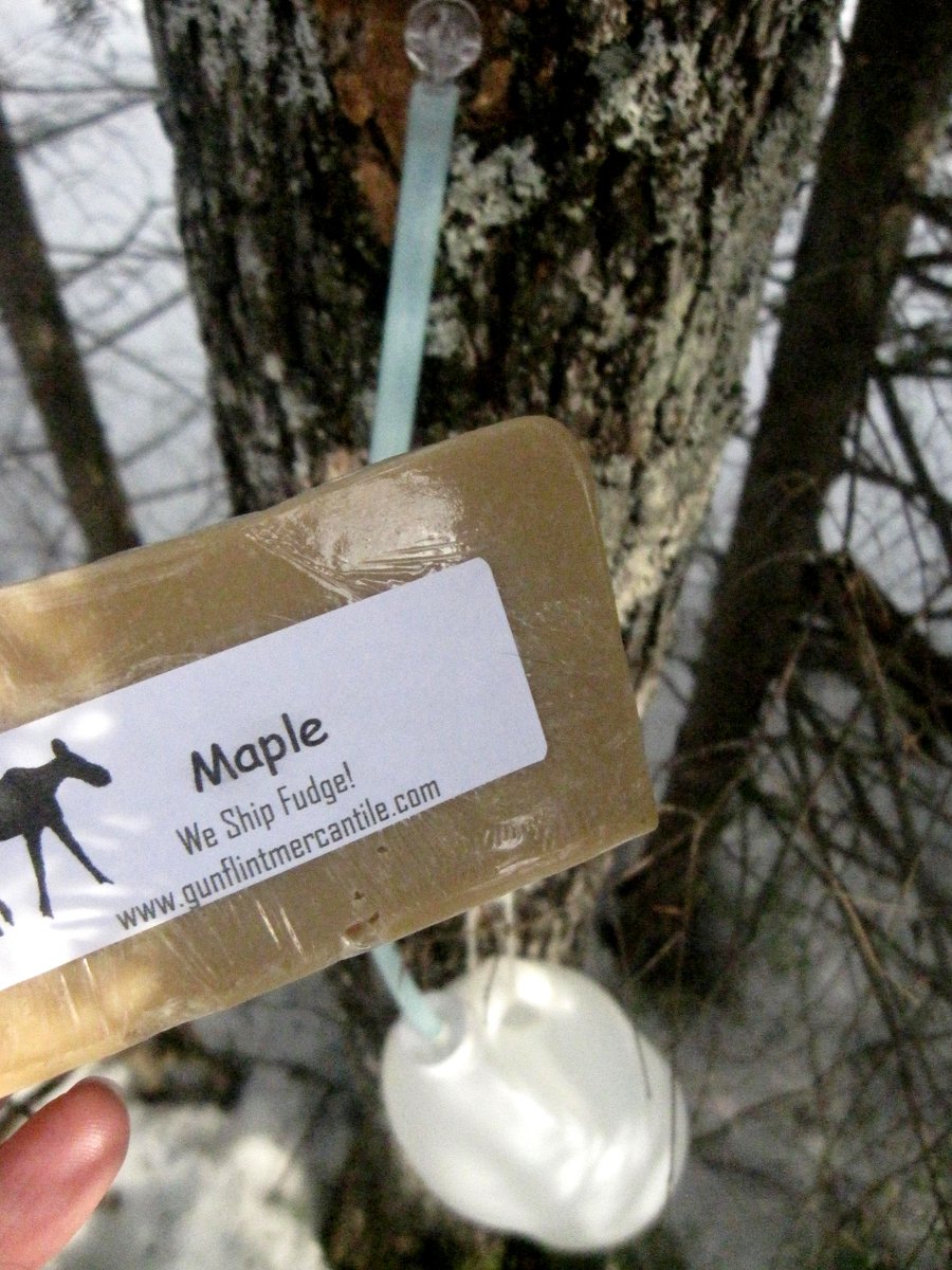 GunflintMerc's tweet photo. 'Tis the season for tapping! #maplesyrup #maplefudge https://t.co/SonptlyfEa https://t.co/mLHynXhvO8
