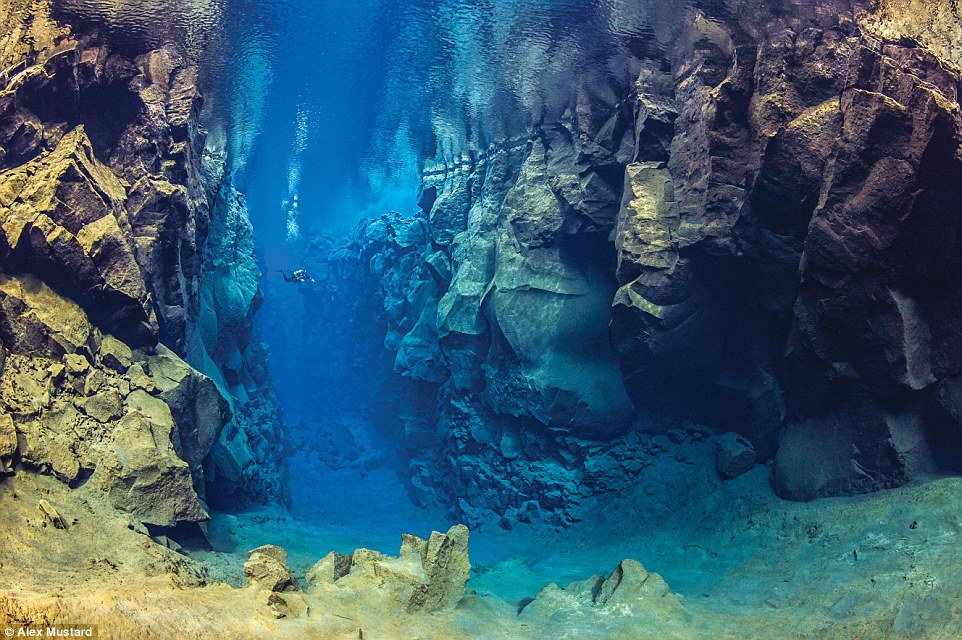 gadventures's tweet photo. Dive into the world's aquatic wonderlands with these incredible photographs. https://t.co/sSdEUSLbbh via @travelmail https://t.co/pXWnk3Xcz6