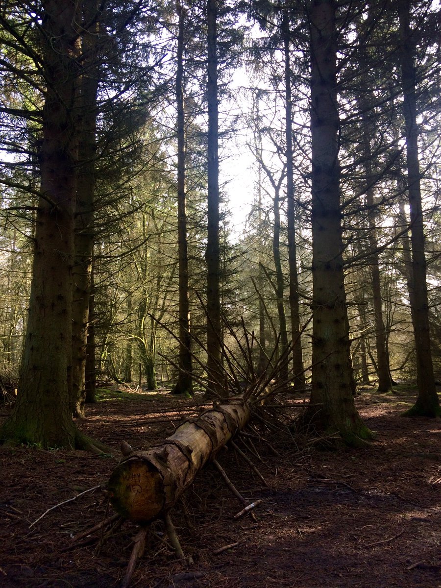 HelenFountain's tweet photo. Lovely walk today in the spring sunshine @WKWT @WarwickshireCCC #UftonFields #NatureReserve https://t.co/31N7C7xaw9