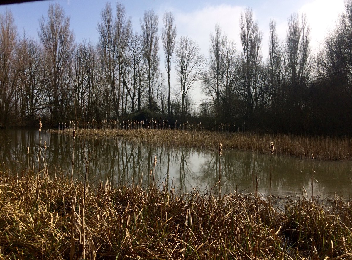 HelenFountain's tweet photo. Lovely walk today in the spring sunshine @WKWT @WarwickshireCCC #UftonFields #NatureReserve https://t.co/31N7C7xaw9