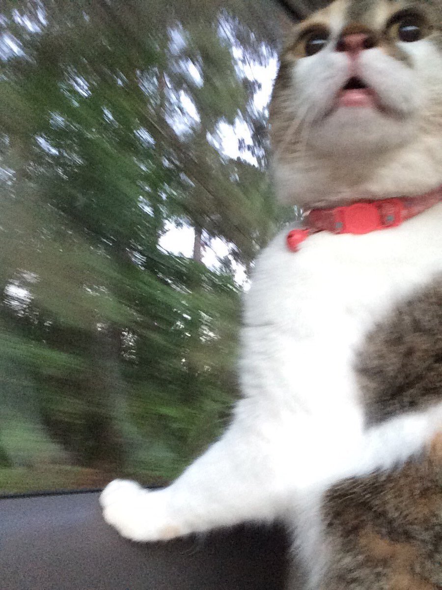 glittury's tweet photo. when u ask ur mom to stop for food and she actually says yes https://t.co/DGa9OvbokR