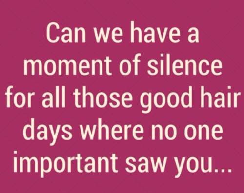 SamNovik's tweet image. 