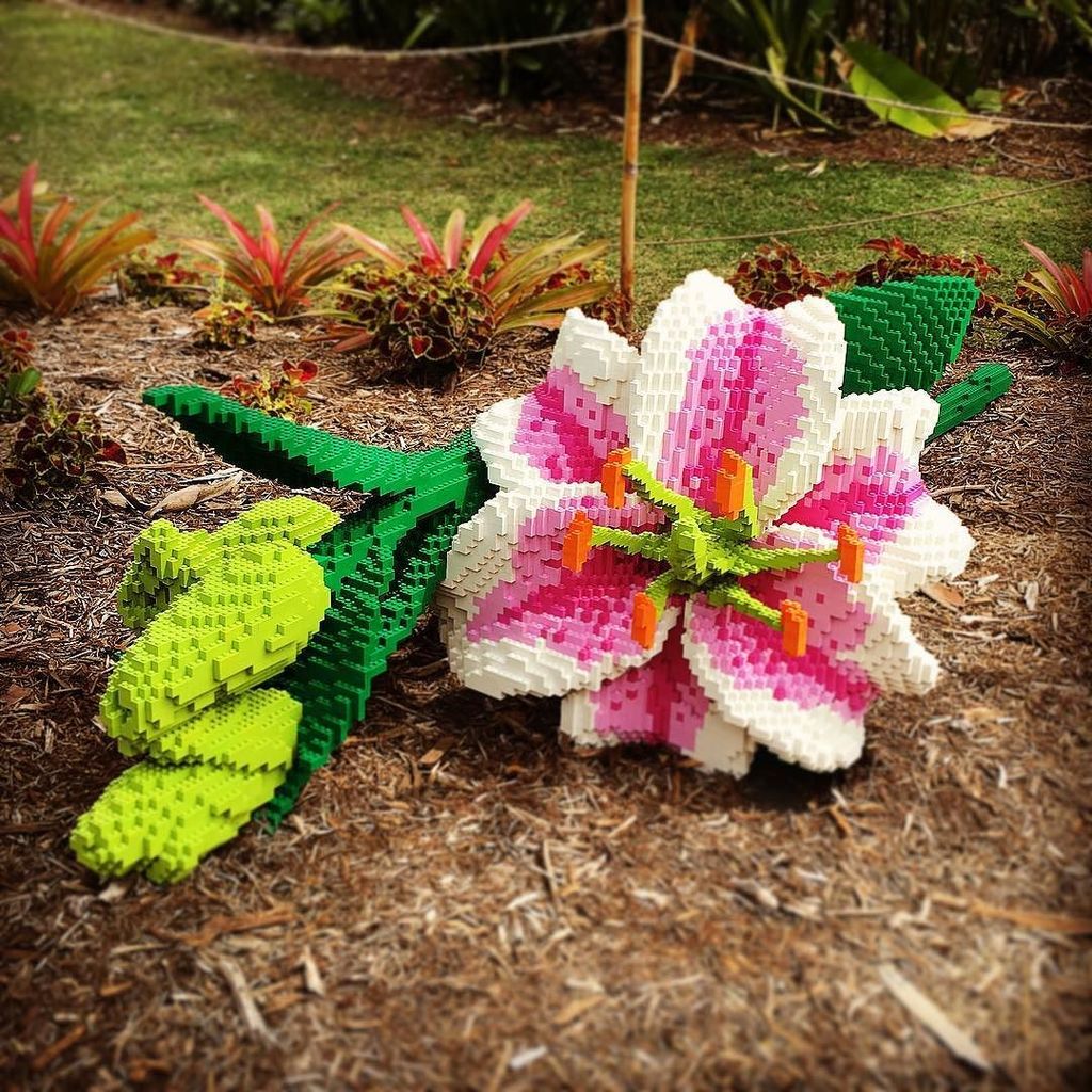 Insta_Lego's tweet photo. https://t.co/sGeQ2zagkg - standbackimages - #dayoff #naplesflorida #naplesbotanicalgarden #lego #seankenney #legob… https://t.co/cLWsh3NpaM