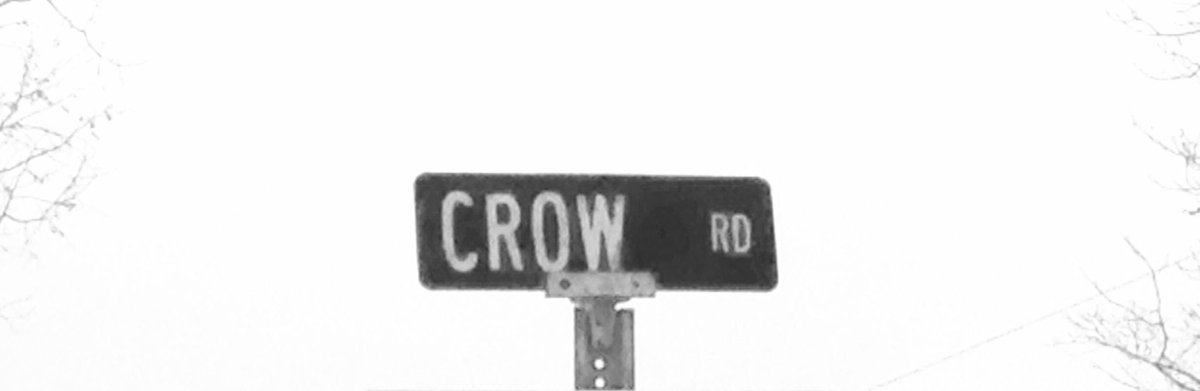 CrowsFork's tweet image. #crowsfork